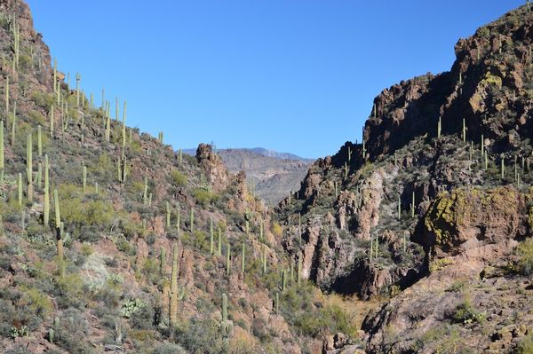 Phoenix Airport Car Rental